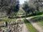 Immagine 6