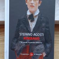Rimbaud le silerchie Stefano Agosti 