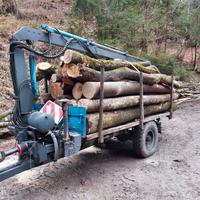 rimorchio forestale buio