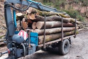 rimorchio forestale buio