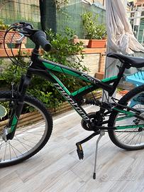BICI Moutainbike
