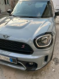 Mini countryman s