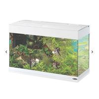 acquario ferplast dubbai 80 125 litri