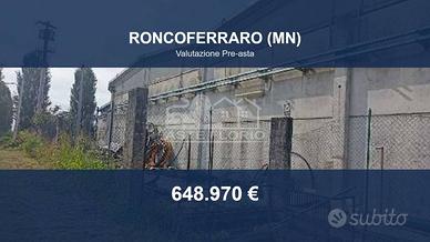 Immobile in asta di 4814 m² a Roncoferraro