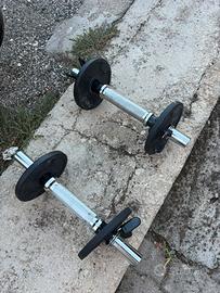 Manubri con 8 pesi