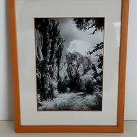 Quadro Fotografia Infrarosso Paesaggio Natura