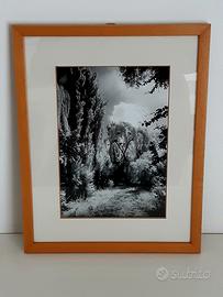 Quadro Fotografia Infrarosso Paesaggio Natura