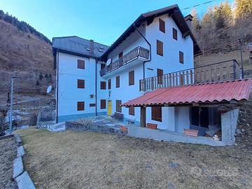 BICAMERE IMMERSO NELLA NATURA