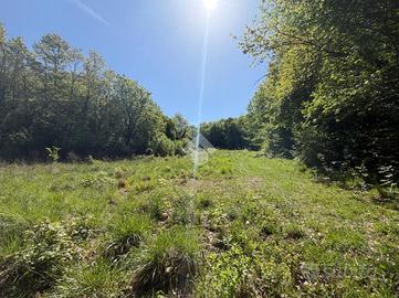 TER. AGRICOLO A ACQUASPARTA