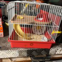 gabbia per criceti