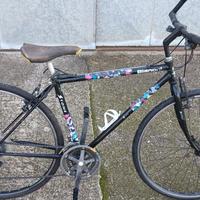 bici uomo vari modelli