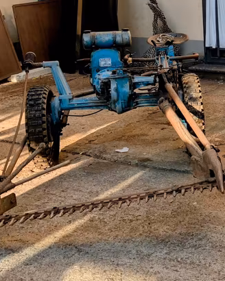 Motofalciatrice bertolini brf 58