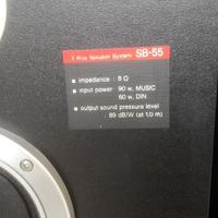 Casse Acustiche in legno