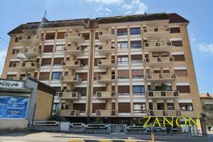 Appartamento - Gorizia