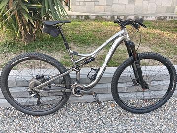 Specialized Stumpjumper 29