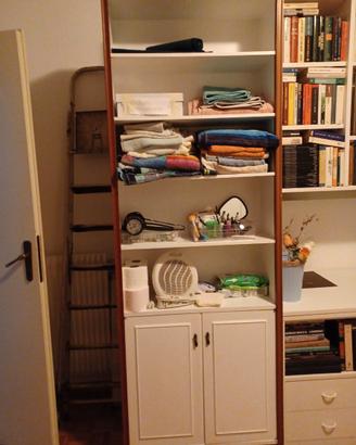 Armadietto libreria/bagno