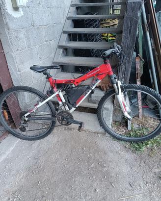 Mountain Bike e biciclette.