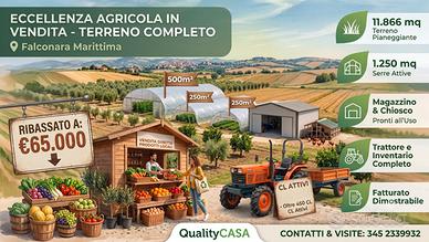 Terreno pronto per attivita' agricola - falconara