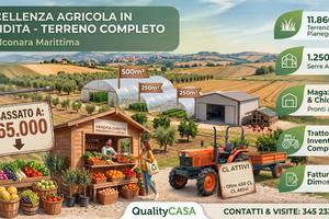 Terreno pronto per attivita' agricola - falconara