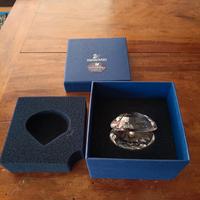 Swarovski Acquatic world 