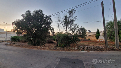 Parabita - Terreno agricolo via Sant'Eleuterio