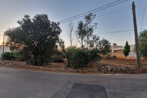 Parabita - Terreno agricolo via Sant'Eleuterio