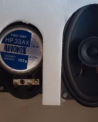 Casse audio autovox auto altoparlanti speaker