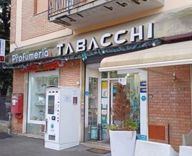 Attività Commerciale Grosseto