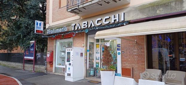 Attività Commerciale Grosseto