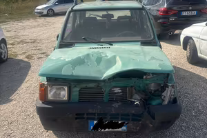 panda 141 del 2000