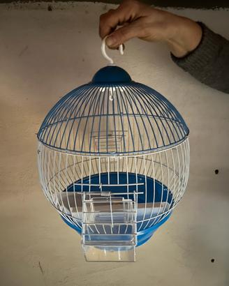 Gabbia uccellini