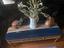 Immagine 1