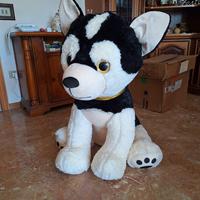 peluche cane