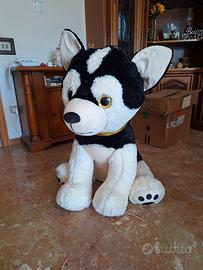 peluche cane