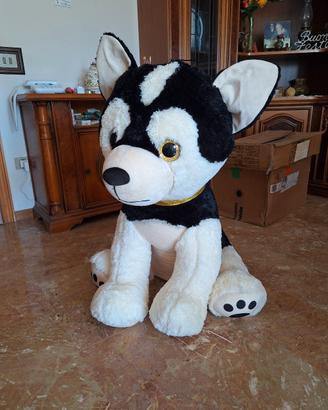peluche cane