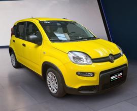 FIAT Panda 1.0 FireFly S&S Hybrid Nuova Versi...