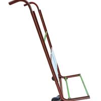 Carello Porta Pacchi e Cartoni