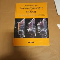 anatomia topografica 