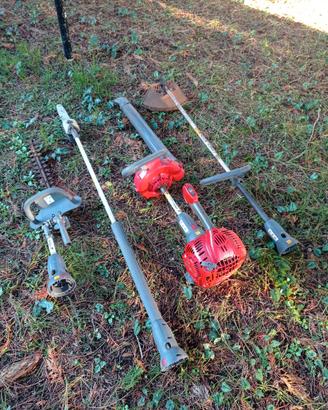 Decespugliatore/Soffiatore/Tagliasiepi/Potatore