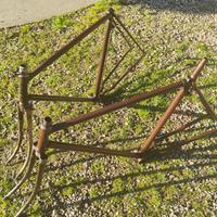 Bici Bianchi Alpini
