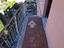 Immagine 19