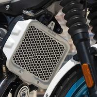 Royal KXA00404 Protezione Radiatore Himalayan 450