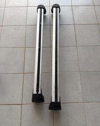 Barre porta pacchi Raw4