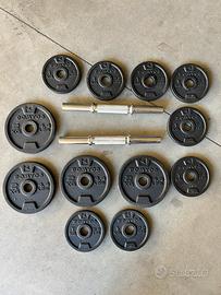 Dischi e manubri Domyos