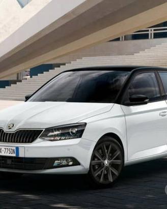 Ricambi usati Skoda Fabia Octavia kamiq karoq