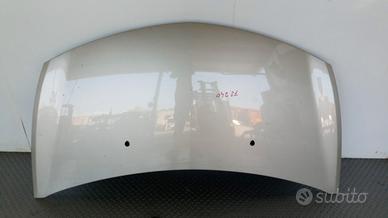 COFANO ANTERIORE RENAULT CLIO 2005>2009 USATO