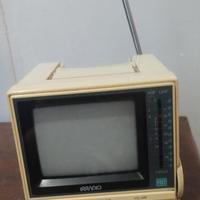 Mini TV Irradio "Il Formica"