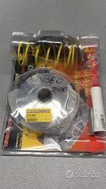 Variatore Malossi Aprilia Scarabeo 200 LC (ROTAX)