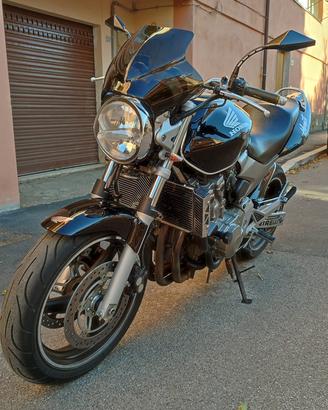 Hornet 600 del 2003