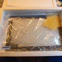 Connettore USB e touchscreen tablet Asus TF103CG